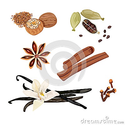 Set vector icons spices. Cardamom, star anise, nutmeg, vanilla flower and sticks, cloves, cinnamon. Vector Illustration. Vector Illustration