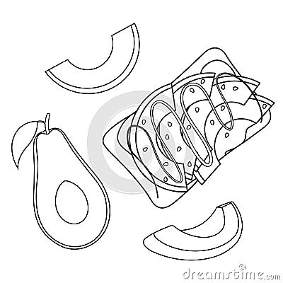 set vector illustration of avocado food, healthy breakfast, illustration for a culinary blog, doodle and sketch Vector Illustration