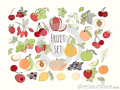 Set of vector illustration of fruits and berries Vector Illustration