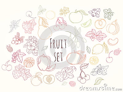 Set of vector illustration of fruits and berries Vector Illustration