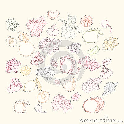 Set of vector illustration of fruits and berries Vector Illustration