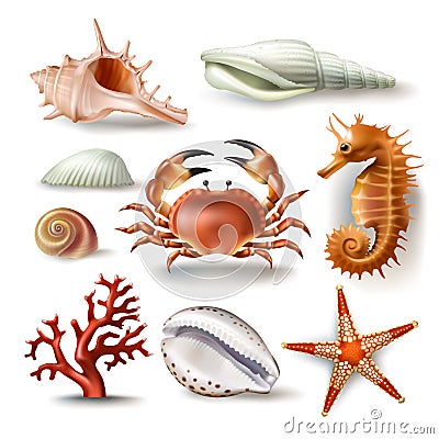 Set of vector illustrations seashells, coral, crab and starfish Vector Illustration