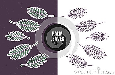 Set of vector leaf design elements. Cute flat outline green and silhouette fern leaves isolated on different color background. Stock Photo