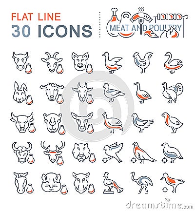 Set Vector Line Icons of Meat and Poultry. Stock Photo