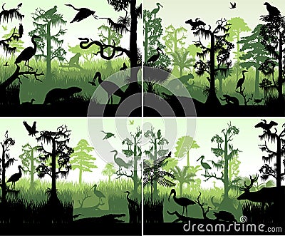 Set of vector rainforest wetland in sunset design template with animals Vector Illustration