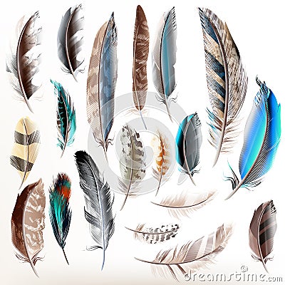 Set of vector realistic colorful feathers Stock Photo