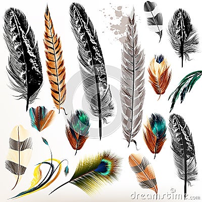 Set of vector realistic colorful feathers Stock Photo