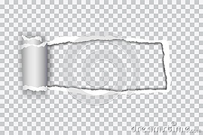 Set vector realistic illustration of transparent torn paper with Vector Illustration