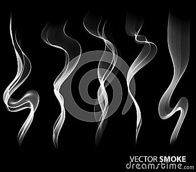 Set of Vector realistic smoke on black background Vector Illustration