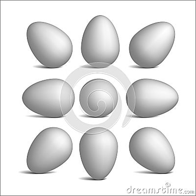 Set vector realistic white eggs. Vector Illustration