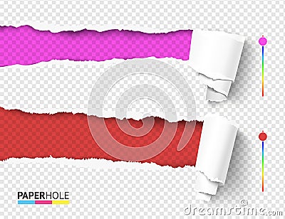 Set of empty vector rip edge banner concepts with tear paper curled pieces isolated for scrapbooking or ad. Vector Illustration