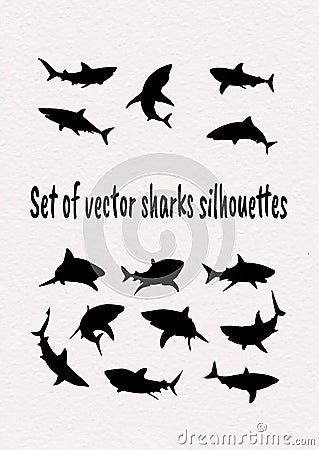 Set of vector sharks silhouettes. Cartoon Illustration