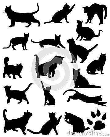 Set of vector silhouettes of cats. Collection of domestic cats. Cats. Black cat. Cat silhouette. Vector Illustration