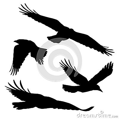 Set of vector silhouettes of flying birds Vector Illustration
