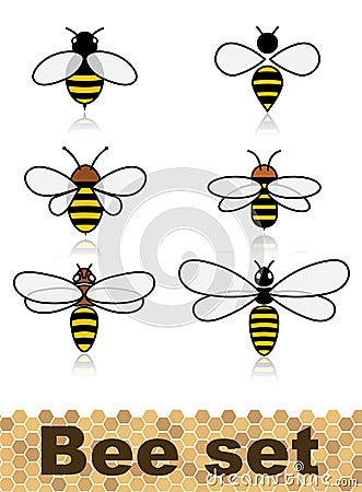 Set of vector stylized bees. Collection of logos with a honey bee. Icons with insects. Vector Illustration