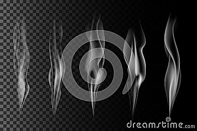 Set of vector transparent gray smoke. Vector Illustration