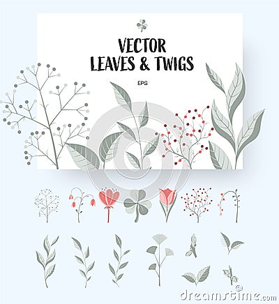 Set of vector twigs, leaves, flowers isolated on background, for design Vector Illustration