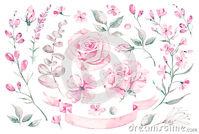 Set vector watercolor elements of roses, leaves. collection garden pink flowers, leaves, branches, plants, Botanic Vector Illustration