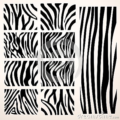 Set of Vector zebra texture Vector Illustration