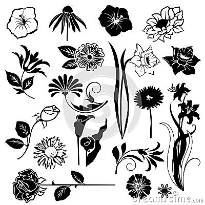 Set of vectors flowers