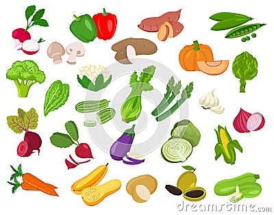 Set of vegetable illustration.Vegetable icons Vector Illustration