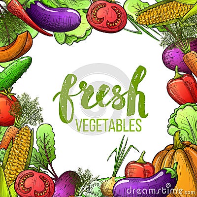 Set of vegetables Vector Illustration