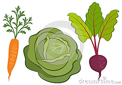 Set of vegetables hand drawn illustrations. Vector Illustration