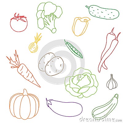 A set of the vegetables isolated on a white background. Vector Illustration