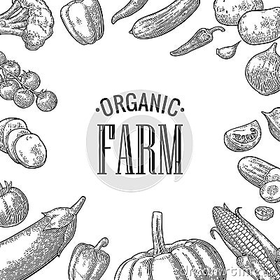 Set vegetables and organic farm lettering. Vector black engraving vintage Vector Illustration