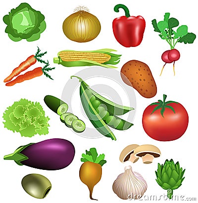 Set of vegetables Vector Illustration