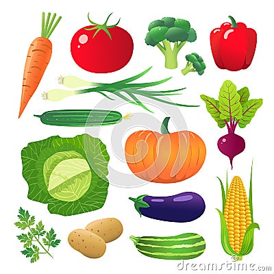 Set of vegetables. Vegetarian food. Isolated on white background. Vector Illustration