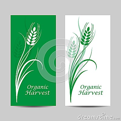 Set of vertical banners. Wheat spikelet on white and green background Vector Illustration