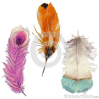 Set with vibrant feathers Stock Photo