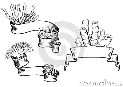 Set of vintage black and white ribbons with hatching and reefs, corals,. Parchment scrolls. Vector Illustration