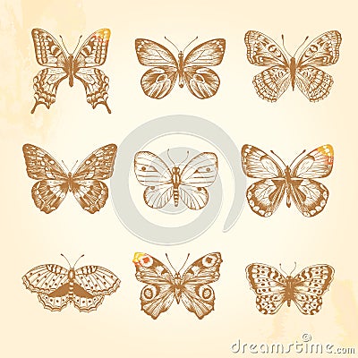 Set of vintage butterflies. Vector Illustration