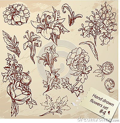 Set of Vintage Realistic graphic flowers Vector Illustration