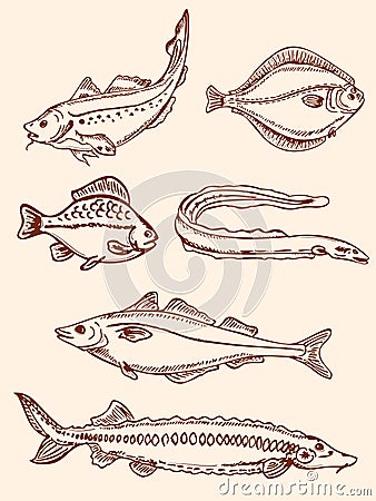 Set of vintage saltwater fish Vector Illustration