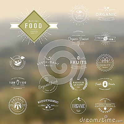 Set of vintage style elements for labels and badges for natural food and drink Vector Illustration