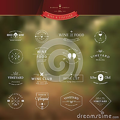 Set of vintage style elements for labels and badges for wine Vector Illustration