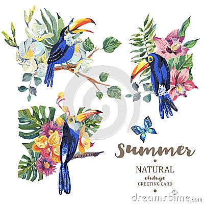 Set of vintage summer vector toucan, butterflies and flowers Vector Illustration