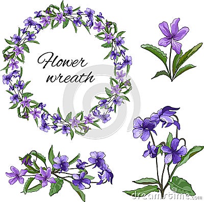 Set of violet purple flowers on a light background. Floral wreath of violets. For wallpaper, textile design. Viola mirabilis. Vector Illustration
