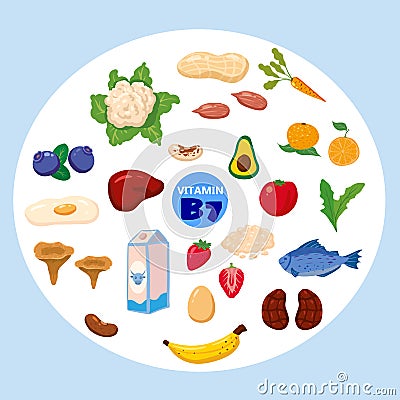 Set of Vitamin B7 origin natural sources. Healthy diary food rich biotin, meat, fish, vegetable, fruits, vegetables Vector Illustration