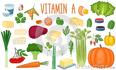 Set of vitamin A sources. Healthy food. Collection of vegetables, greens, milk products and eggs enriched vitamin C. Vector Vector Illustration