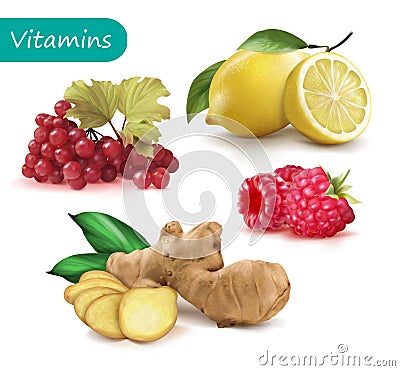 Set of vitamins to strengthen the immunity viburnum, lemon, ginger, raspberry Cartoon Illustration