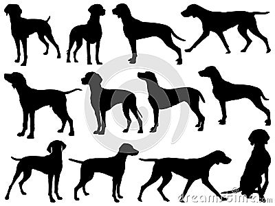 Set of Vizsla Dog silhouette vector art Vector Illustration