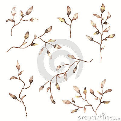 Set of watercolor autumn leaves and twigs. botanical clip art. Decorative floral elements for design. Vector Illustration