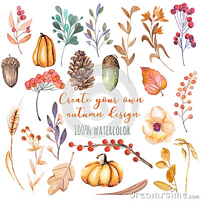 Set of watercolor autumn plants: pumpkins, fir cones, wheat spikes, yellow leaves, fall berries, acorns Stock Photo