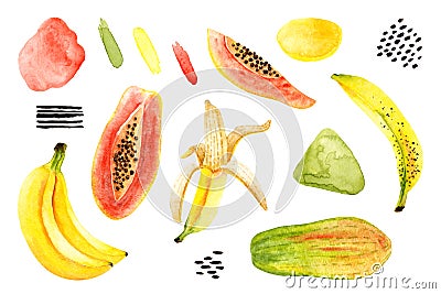 Set of watercolor bananas, papaya, abstract spots, brush strokes. Isolated bright illustration on white. Hand painted fruits Cartoon Illustration