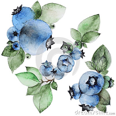 Set of watercolor blueberry Stock Photo