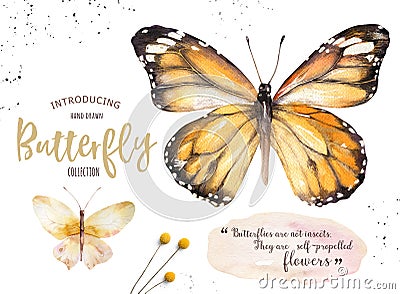 Set of watercolor boho butterfly. Vintage summer isolated spring art. Watercolour illustration. design wedding card Cartoon Illustration